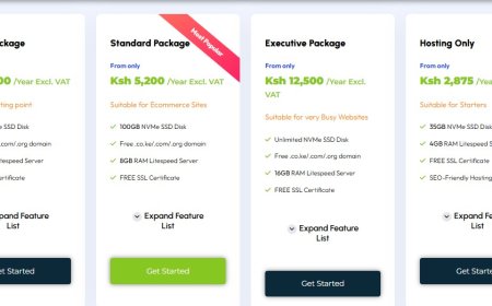 HostPinnacle Kenya: Affordable Web Hosting with Free Domain